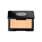 ARTIST HIGHLIGHTER